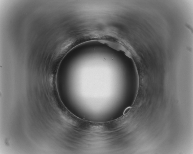 X0000096200066200801251021