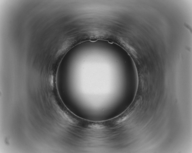 X0000096200067200801251021