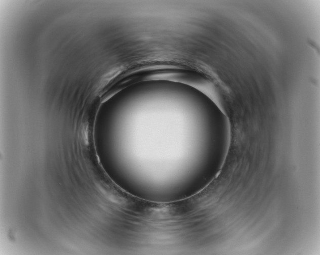 X0000096200068200801251021