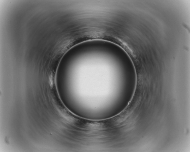 X0000096200069200801251021