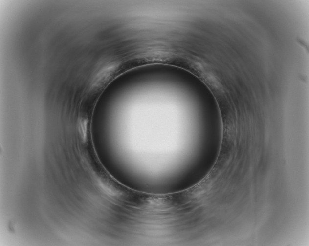 X0000096200070200801251021