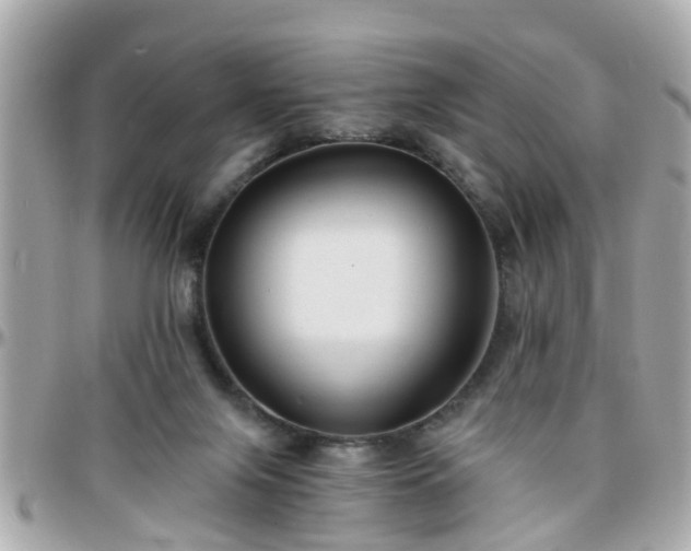 X0000096200071200801251021