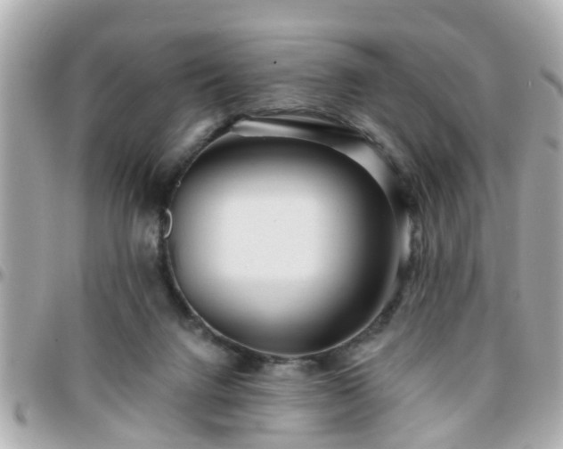 X0000096200072200801251021