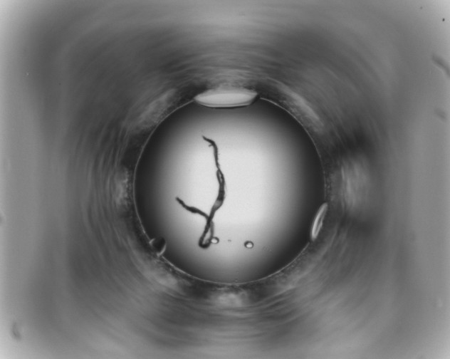 X0000096200073200801251021