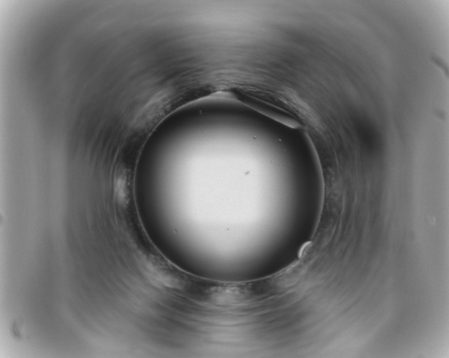 X0000096200074200801251021