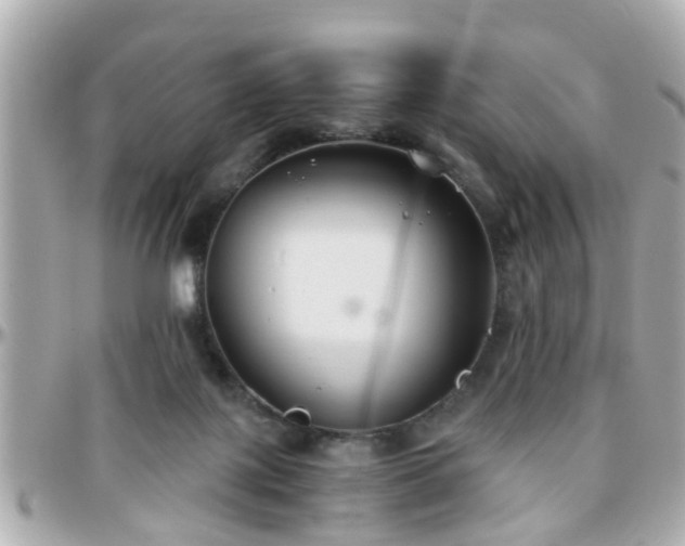 X0000096200075200801251021