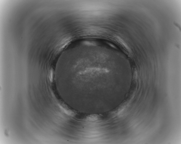 X0000096200076200801251021