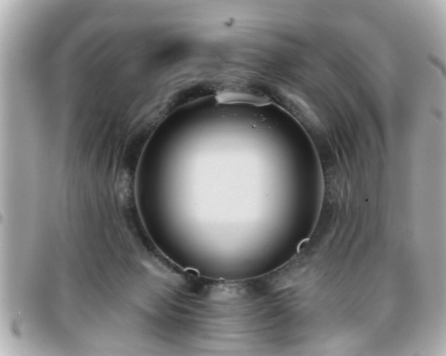 X0000096200077200801251021