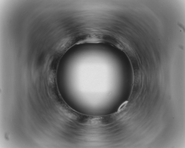 X0000096200078200801251021