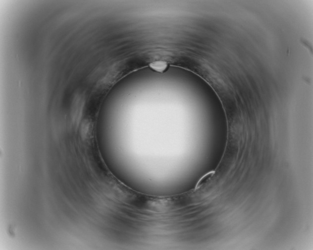 X0000096200079200801251021