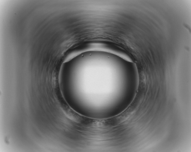 X0000096200080200801251021