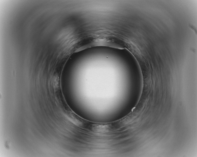 X0000096200081200801251021