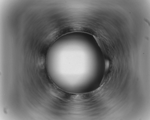 X0000096200082200801251021