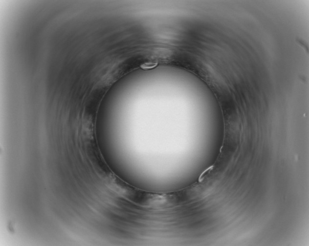 X0000096200083200801251021