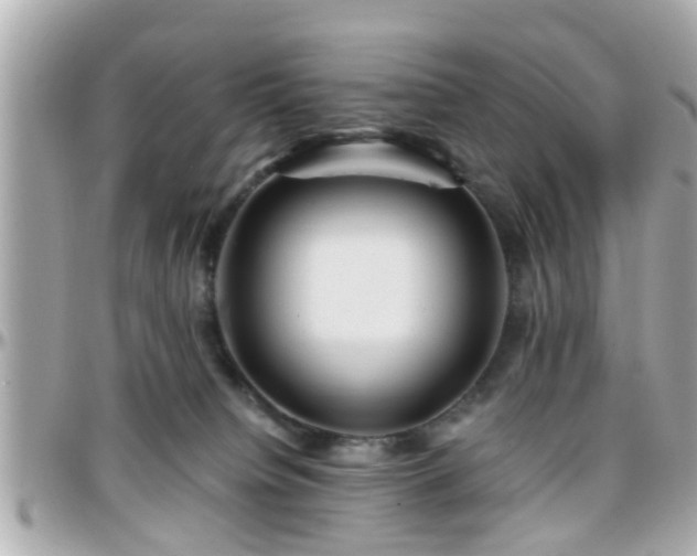 X0000096200084200801251021