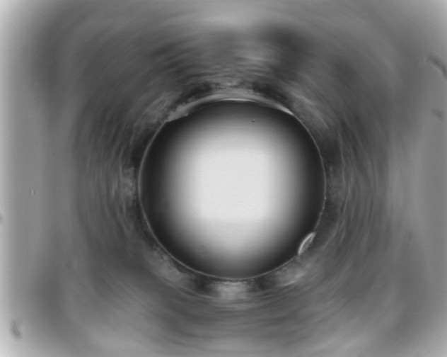 X0000096200085200801251021