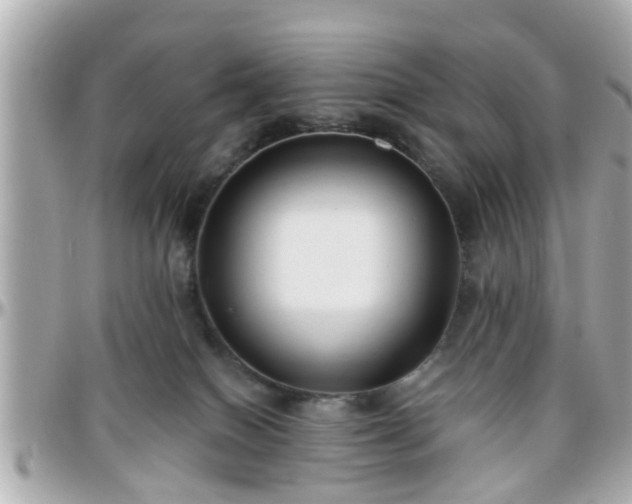 X0000096200086200801251022