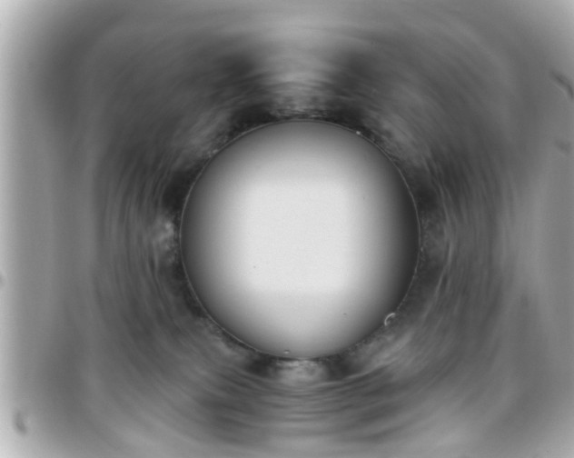 X0000096200087200801251022