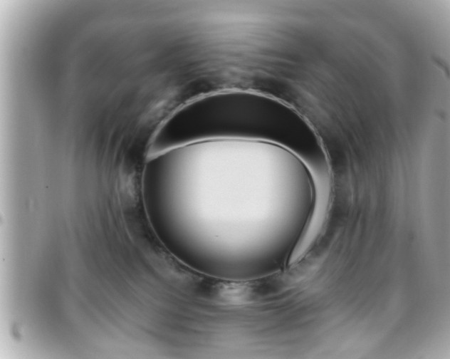 X0000096200088200801251022