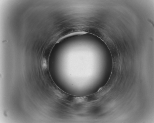 X0000096200089200801251022