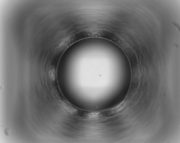 X0000096200090200801251022