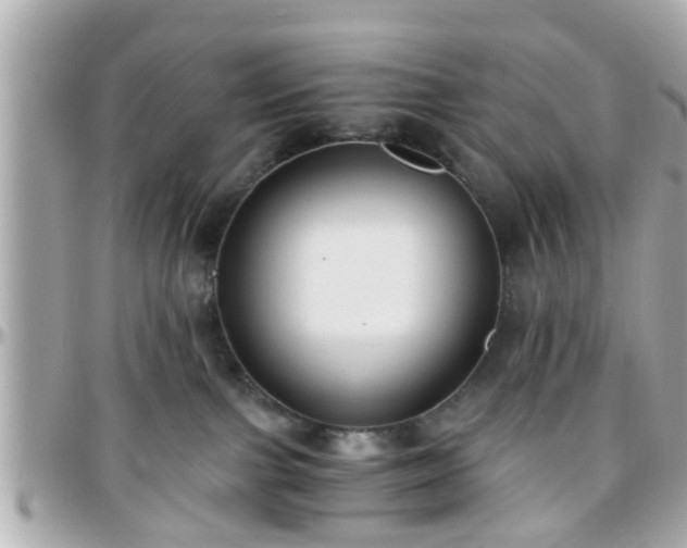 X0000096200091200801251022