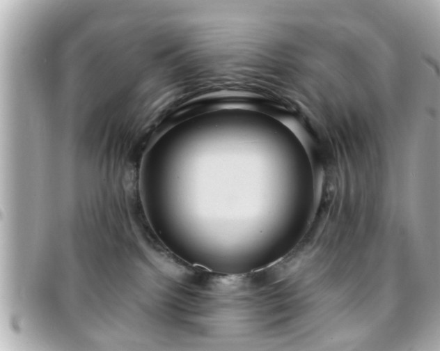 X0000096200092200801251022