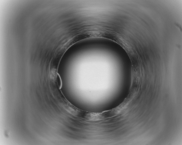 X0000096200093200801251022