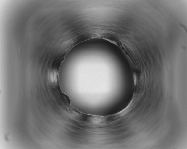 X0000096200094200801251022