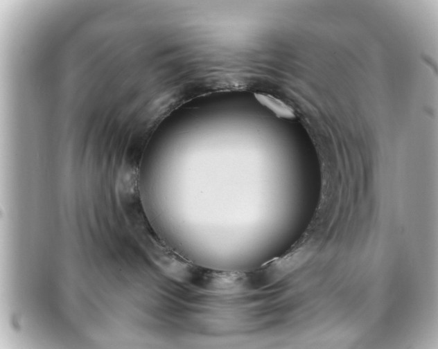 X0000096200096200801251022