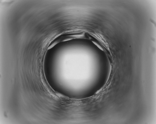 X0000096200097200801251021