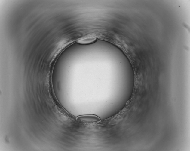 X0000096200098200801251021