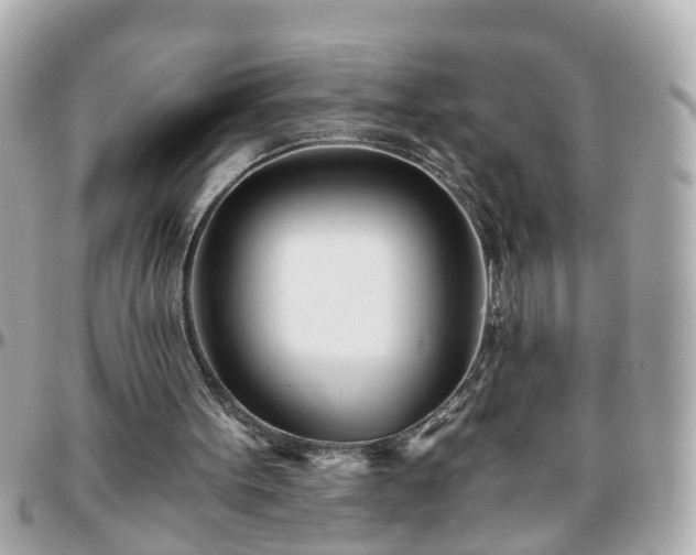 X0000096200099200801251021