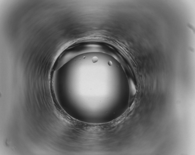 X0000096200100200801251021