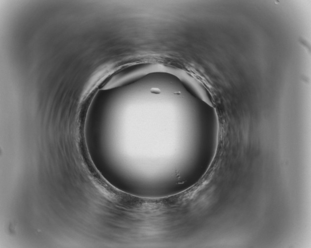 X0000096200101200801251021