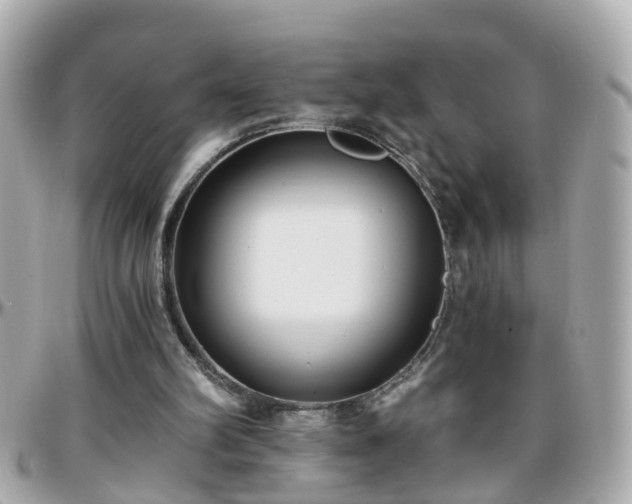 X0000096200102200801251021