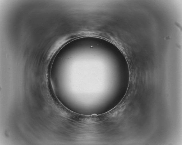 X0000096200103200801251021