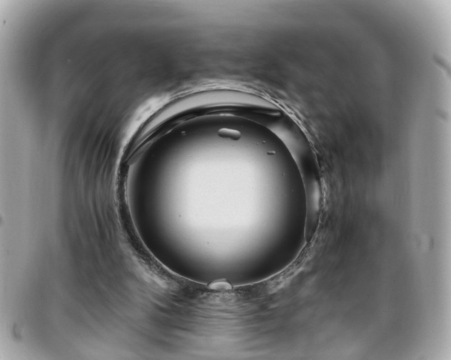 X0000096200104200801251021