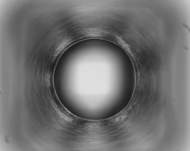 X0000096200106200801251021