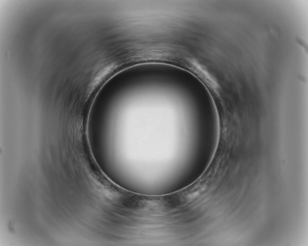 X0000096200107200801251021