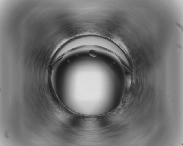 X0000096200108200801251021