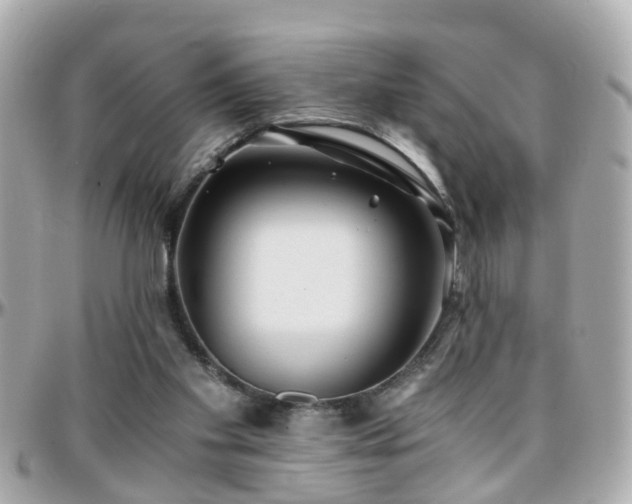 X0000096200109200801251021