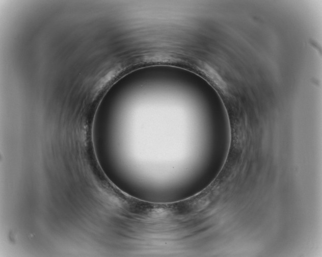 X0000096200111200801251021