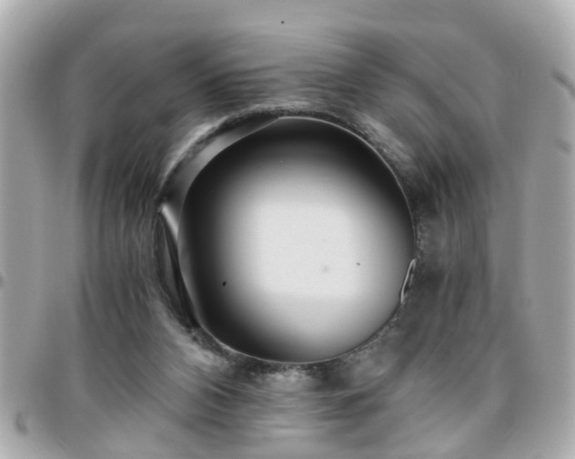 X0000096200112200801251021