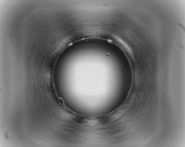 X0000096200113200801251021