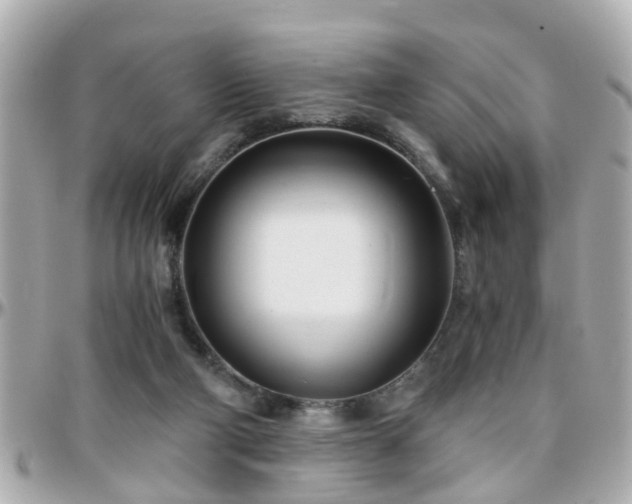 X0000096200114200801251021