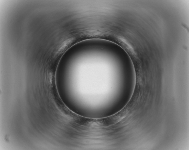 X0000096200115200801251021