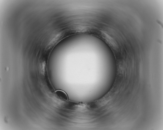 X0000096200118200801251021