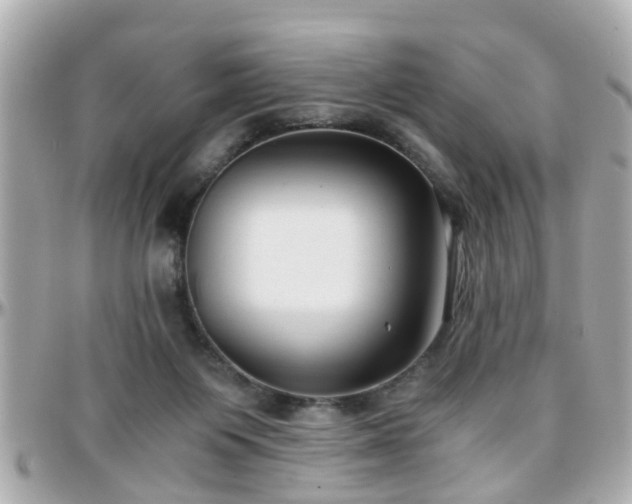 X0000096200119200801251021