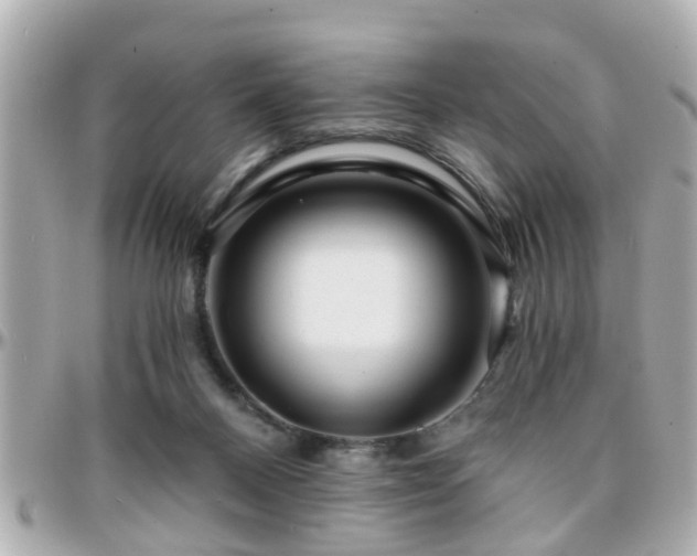 X0000096200120200801251021